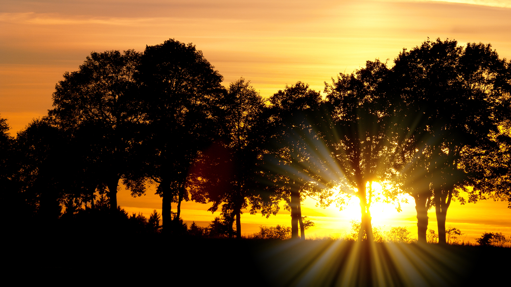 Chapter-2-Rise-and-Shine Rise and Shine