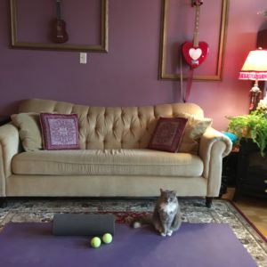 Home Yoga